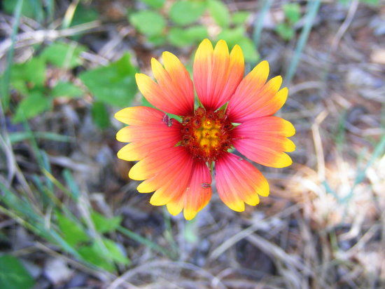 Martin Park Nature Center